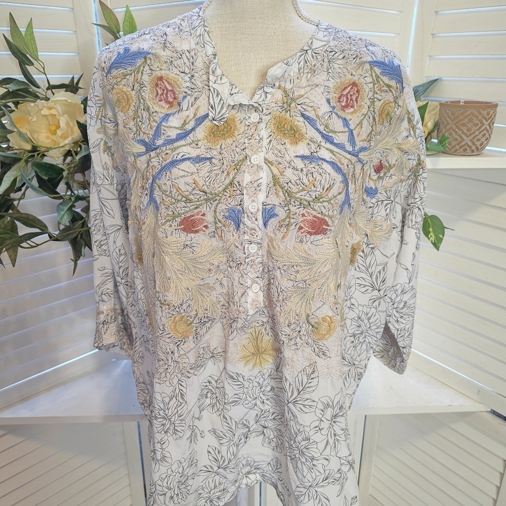 Johnny Was Multicolor Silk Embroidered Blouse LG 1364